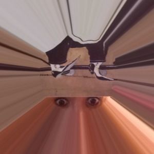 Meet your Posher, Lileana